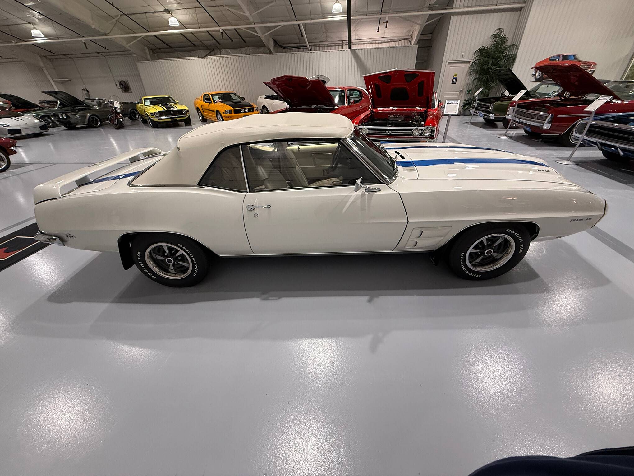 1969 Pontiac Firebird Trans Am 8