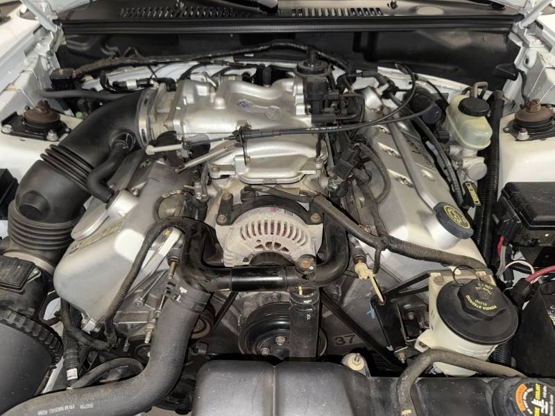1999 Ford Mustang 37