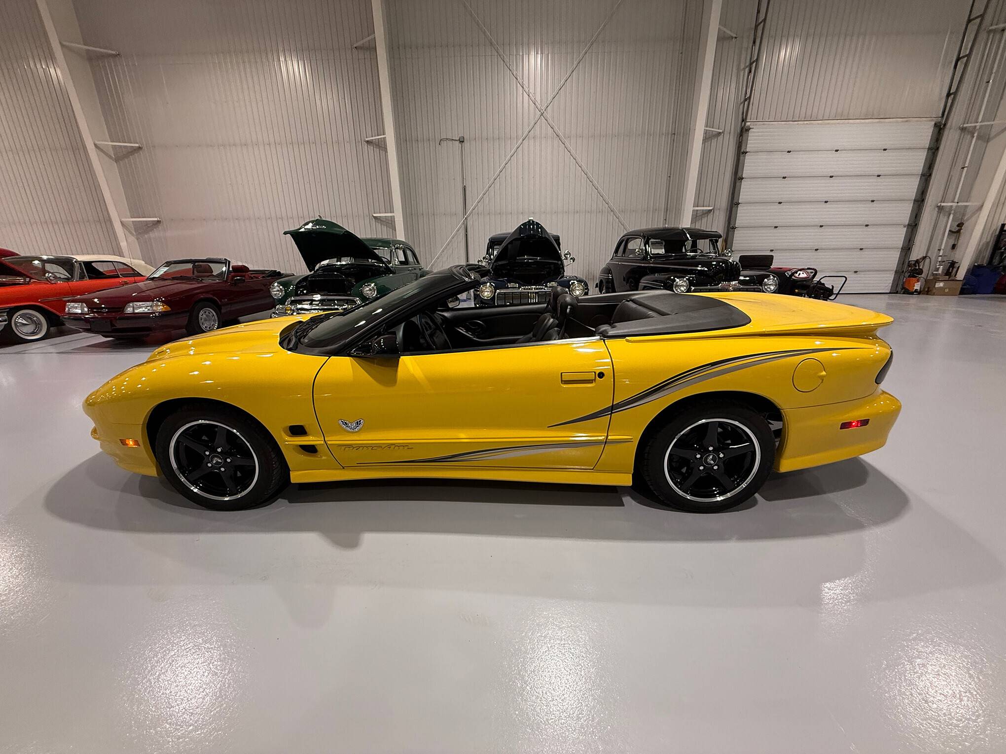 2002 Pontiac Firebird Trans Am 3