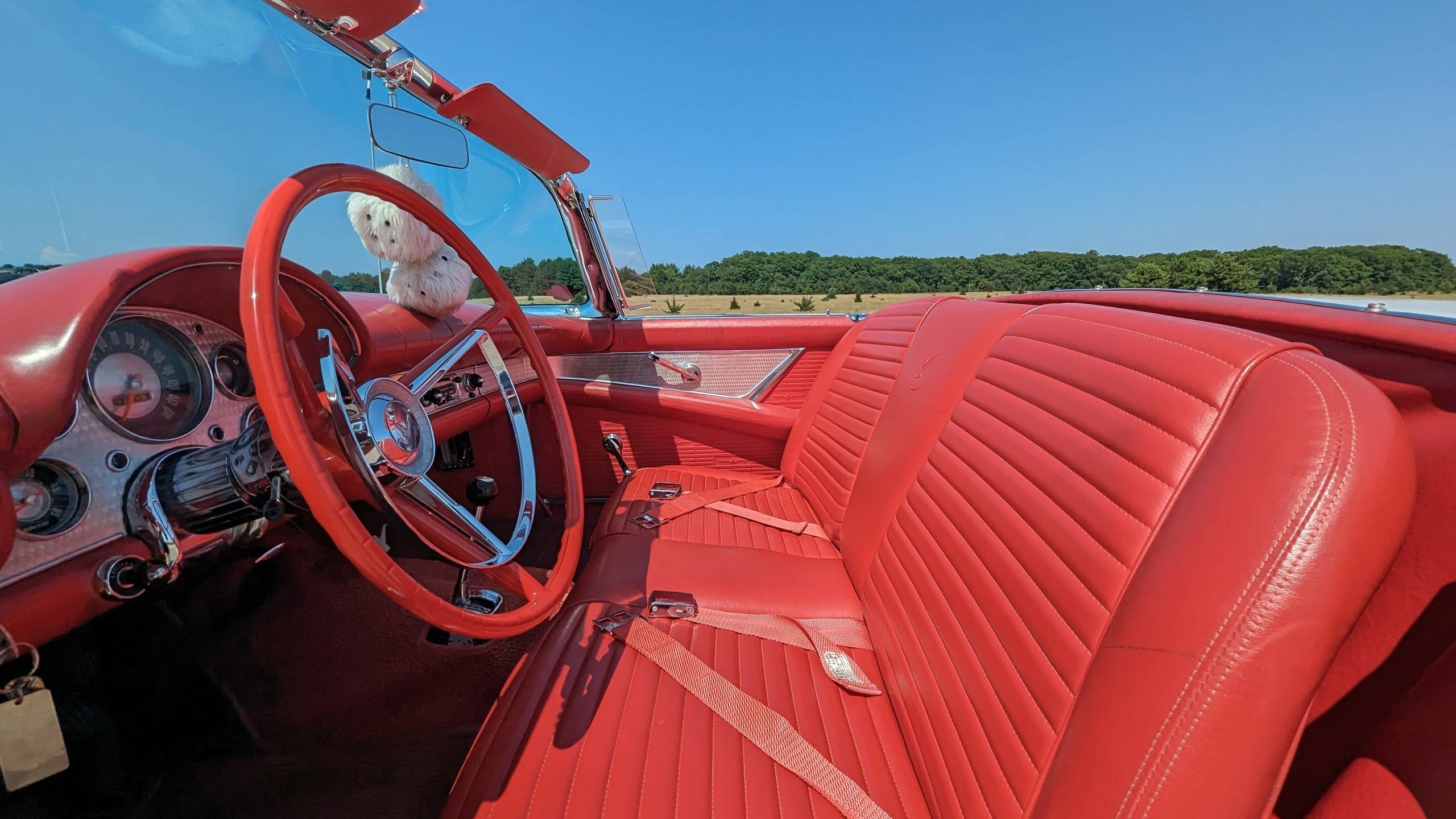 1957 Ford Thunderbird 46