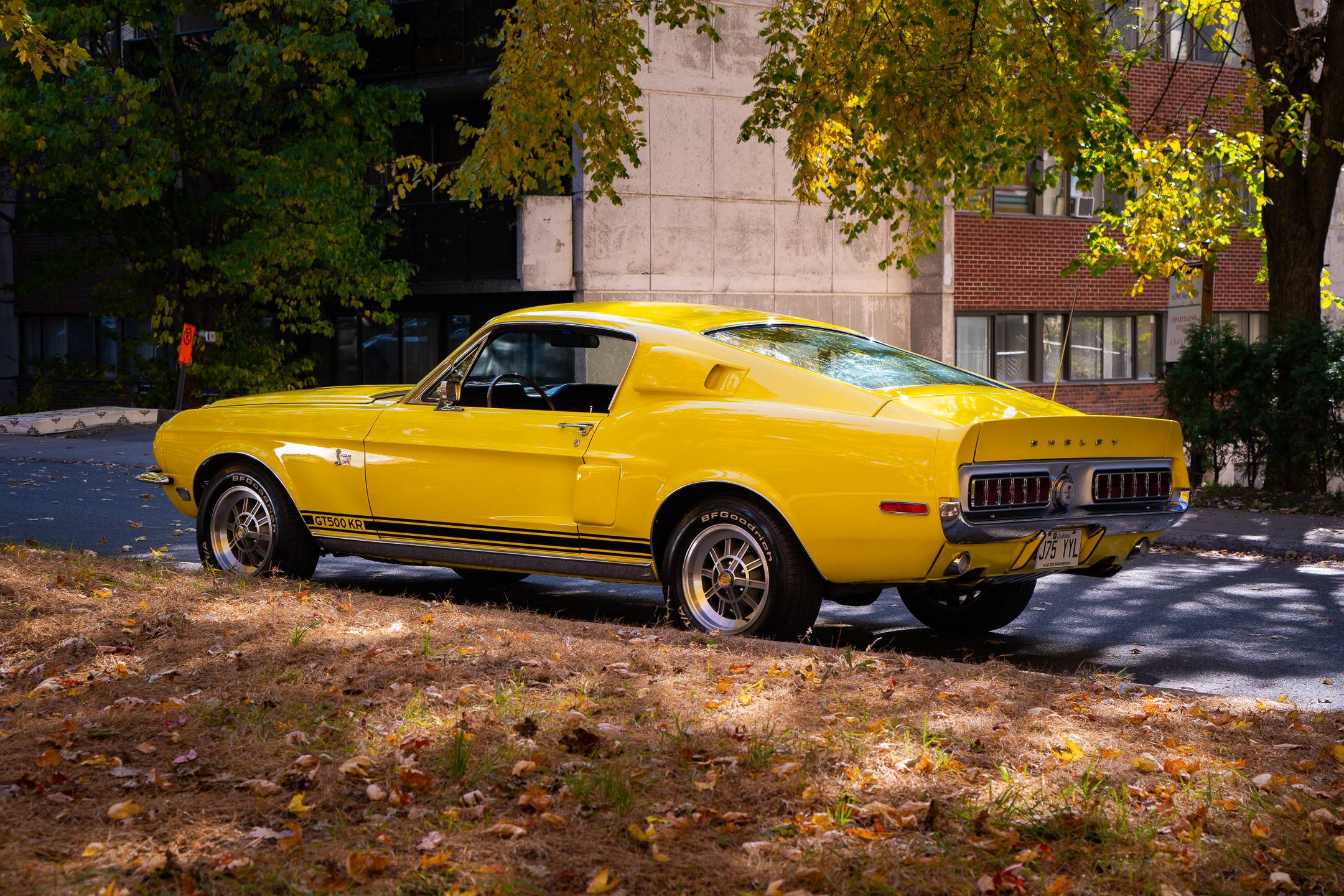 1968 Ford Mustang 2
