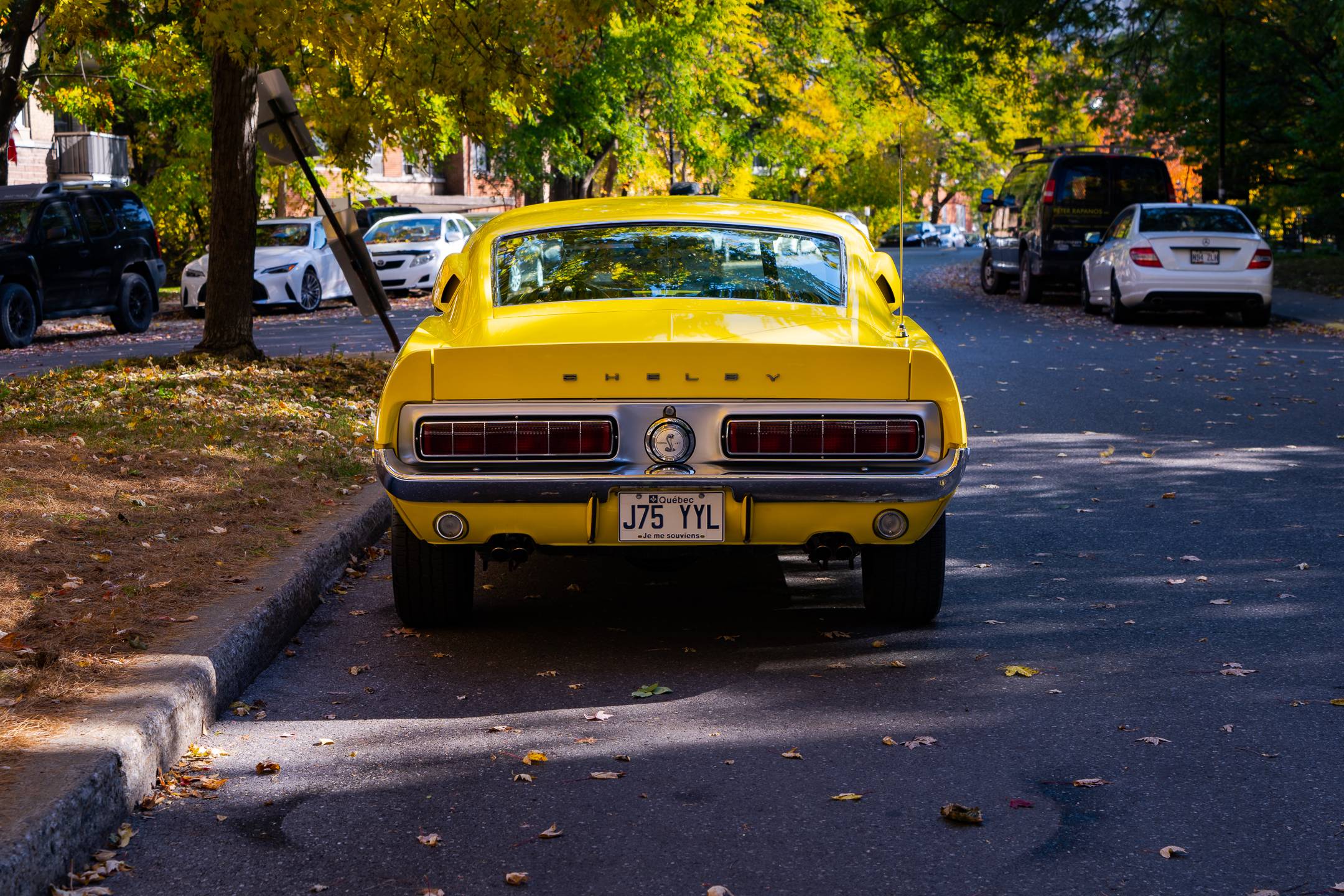 1968 Ford Mustang 3