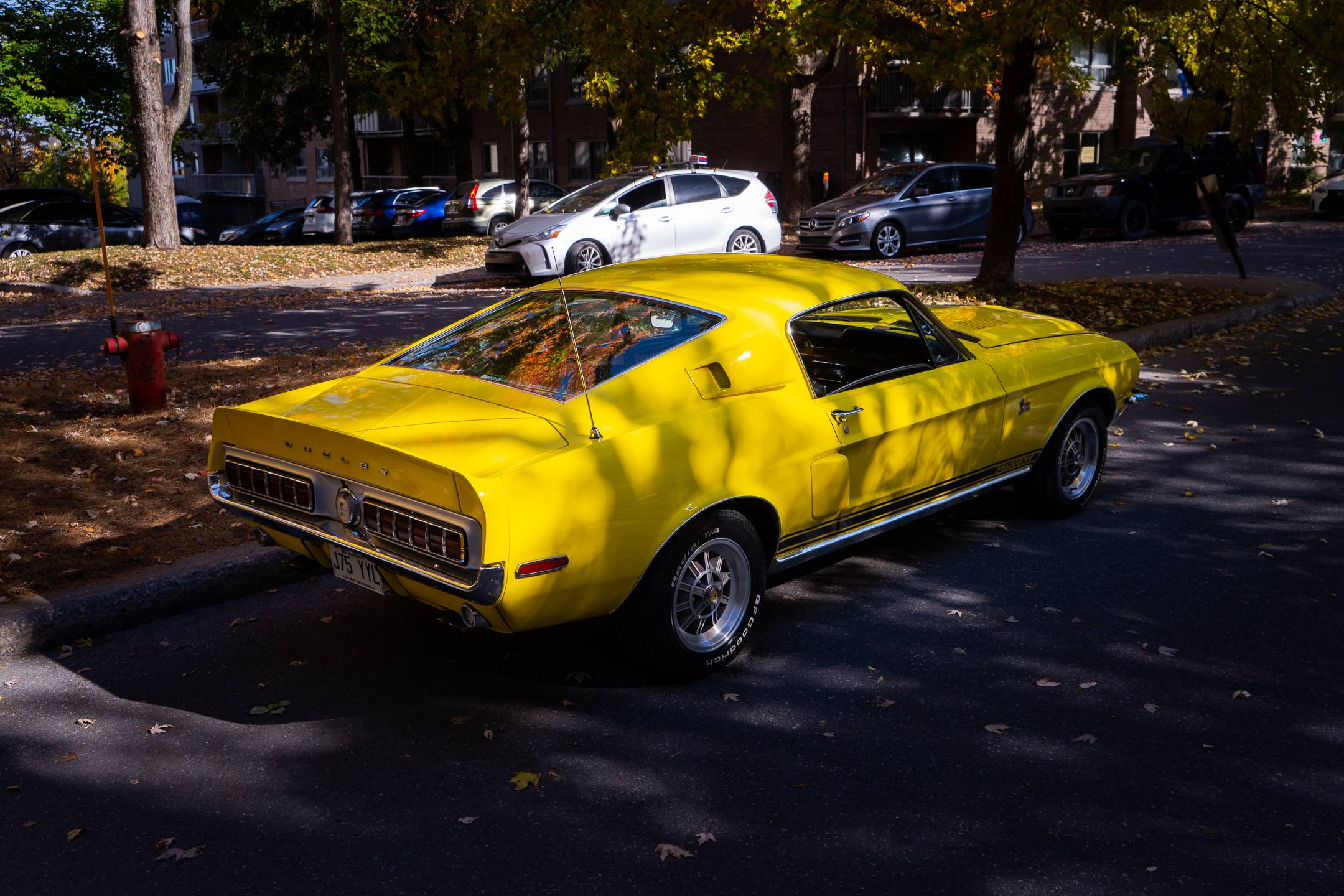 1968 Ford Mustang 5