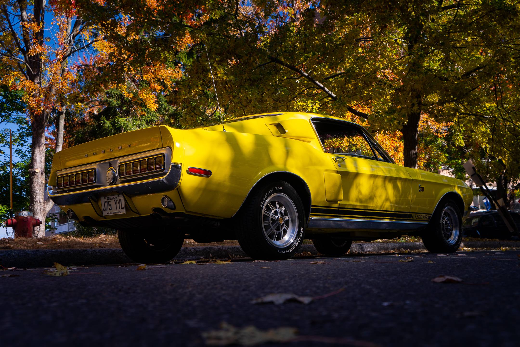 1968 Ford Mustang 6