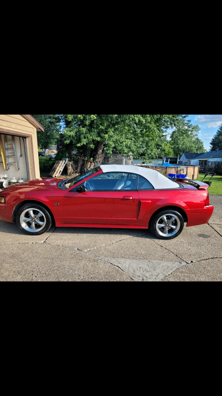 2003 Ford Mustang 1
