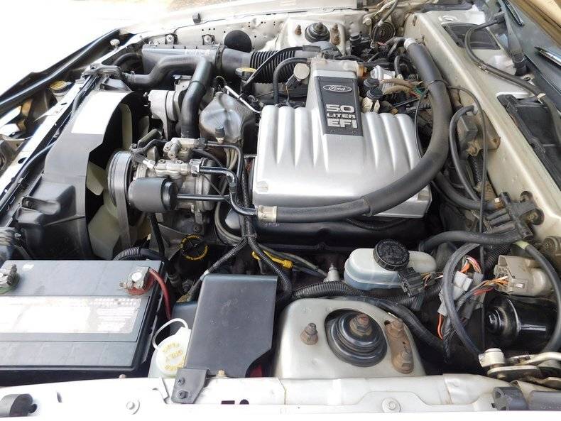 1988 Ford Thunderbird 161
