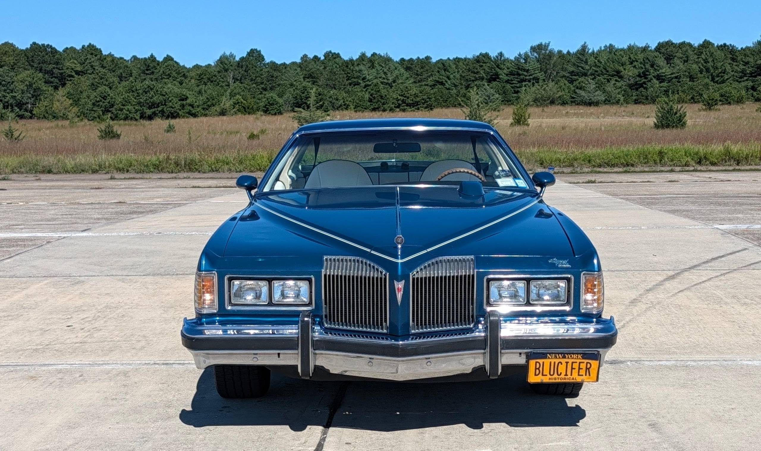 1976 Pontiac Gran Prix 13