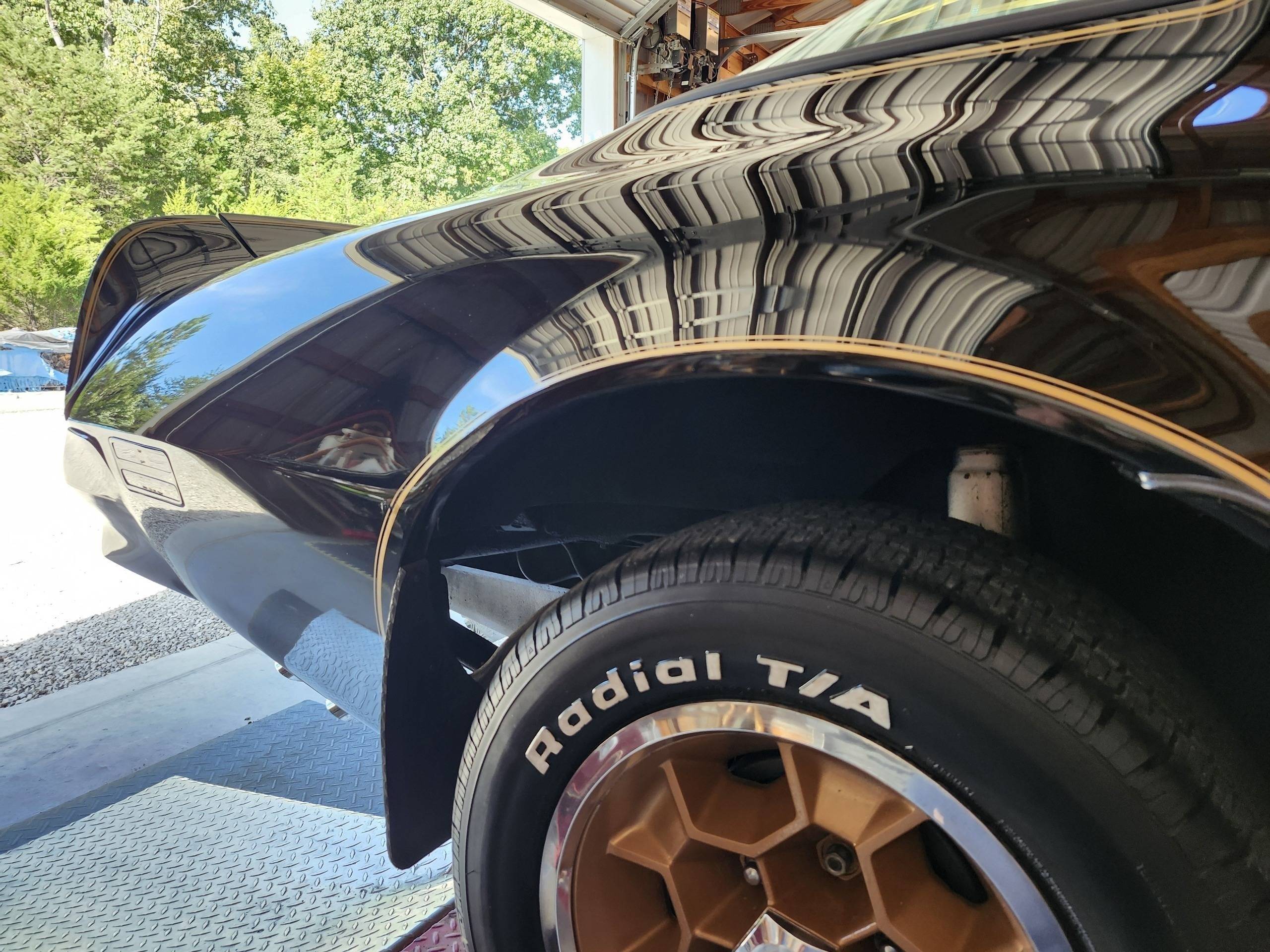 1976 Pontiac Trans Am 79
