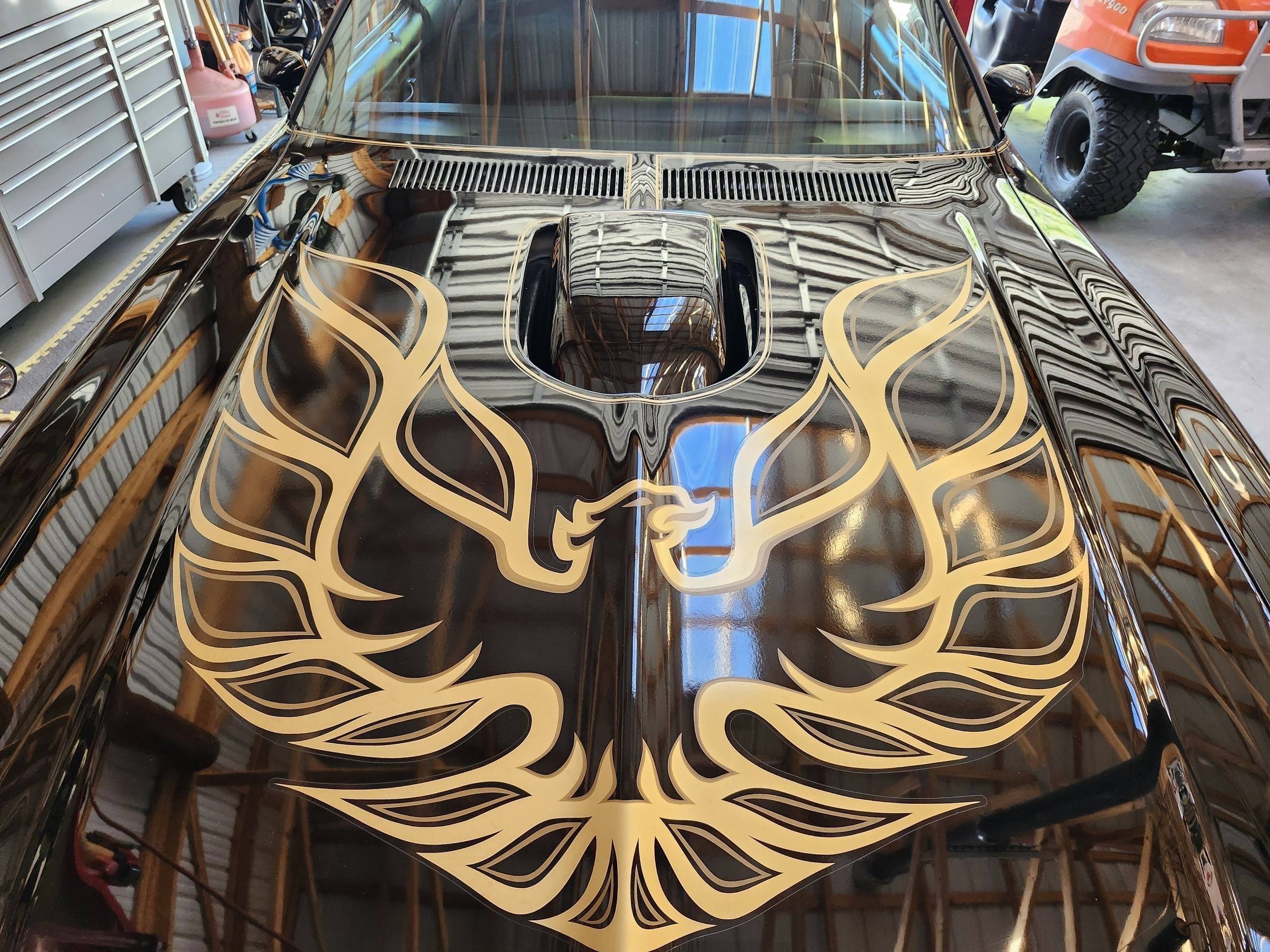 1976 Pontiac Trans Am 18