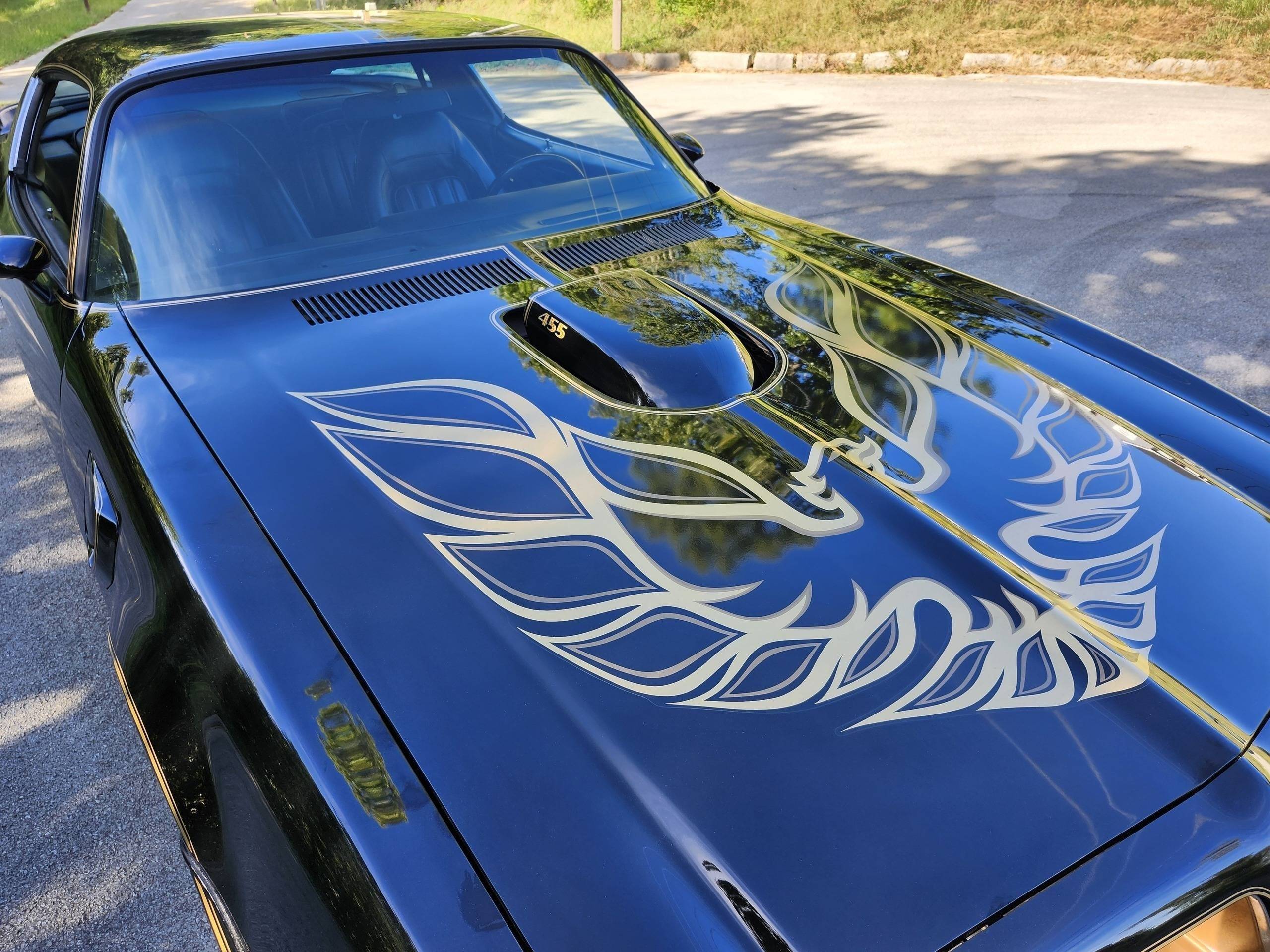 1976 Pontiac Trans Am 8