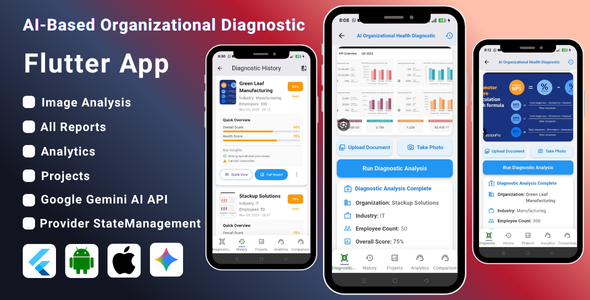 AI-Based Organizational Diagnostic Flutter App | Business Health  Performance Analysis