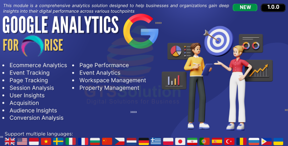 Google Analytics plugin for RISE CRM