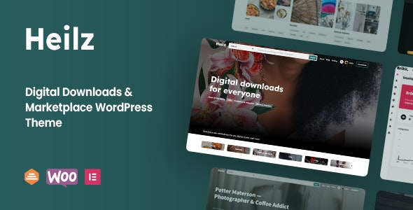 Heilz – Digital Downloads Marketplace WordPress Theme