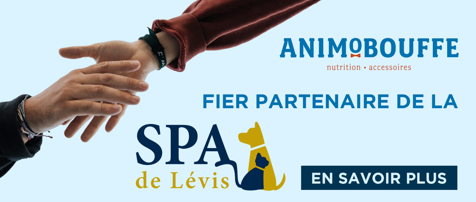 Don pour la SPA de Lévis | AnimObouffe