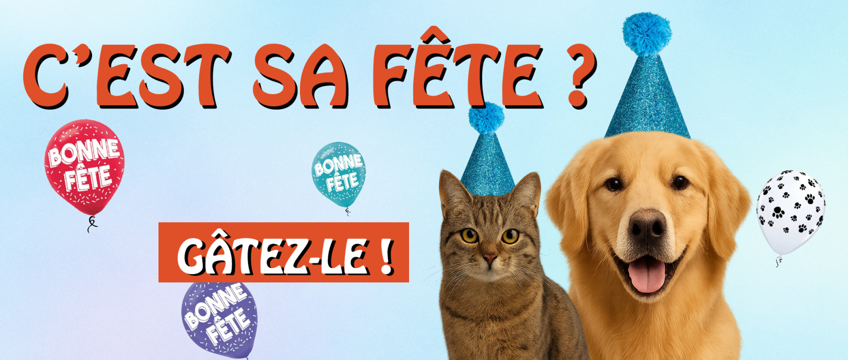 Célèbre l'anniversaire de ton compagnon | AnimObouffe