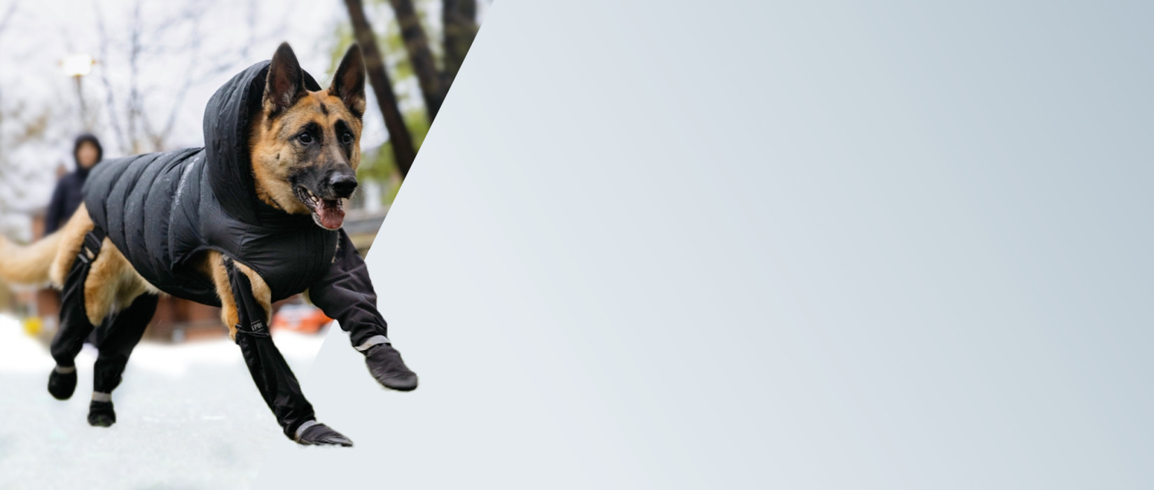 35% sur les Susperder Boots pour chien | AnimObouffe