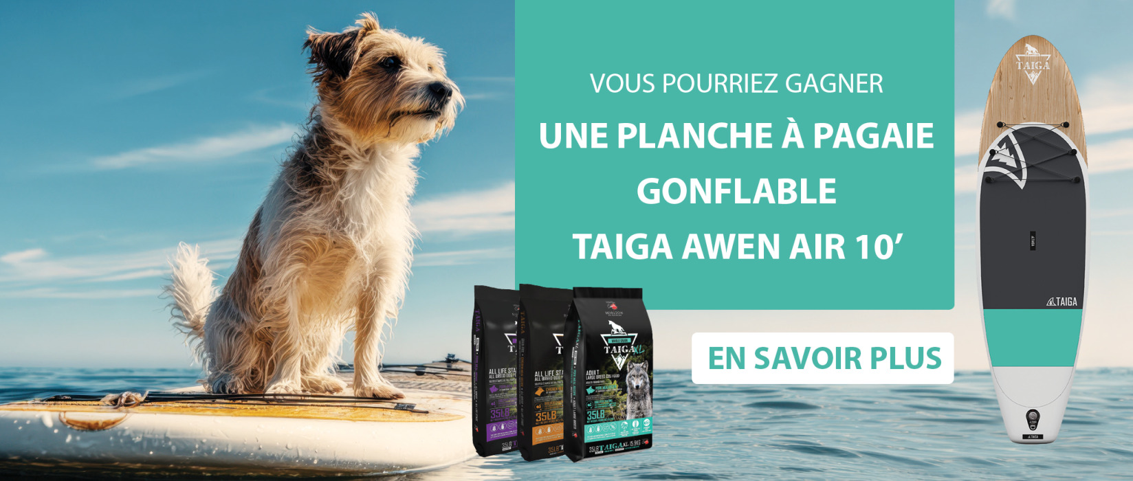 Concours paddle bord Taïga | AnimObouffe
