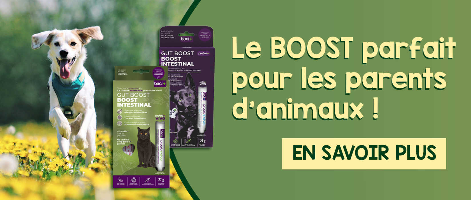 Baci plus, le meilleur allié des parents d'animaux | AnimObouffe