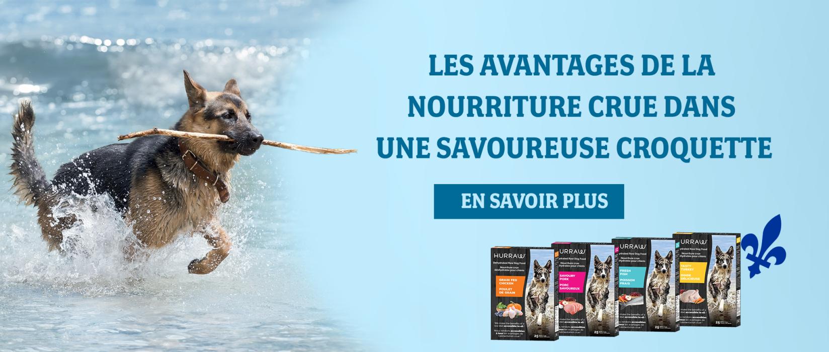 Hurraw les avantages de la nourriture crue dans une savoureuse croquette