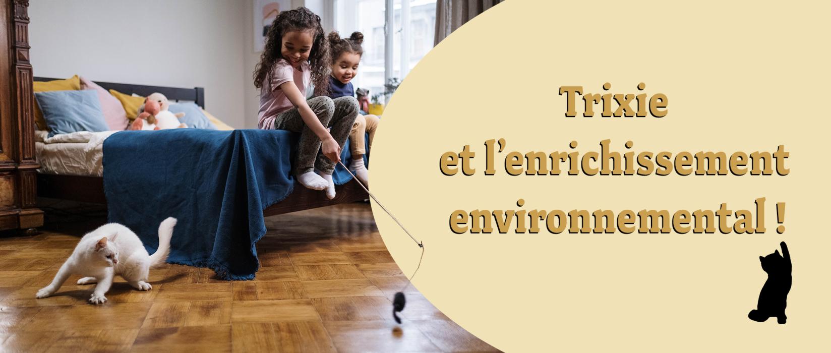Trixie et l'enrichissement environnemental des chats | AnimObouffe