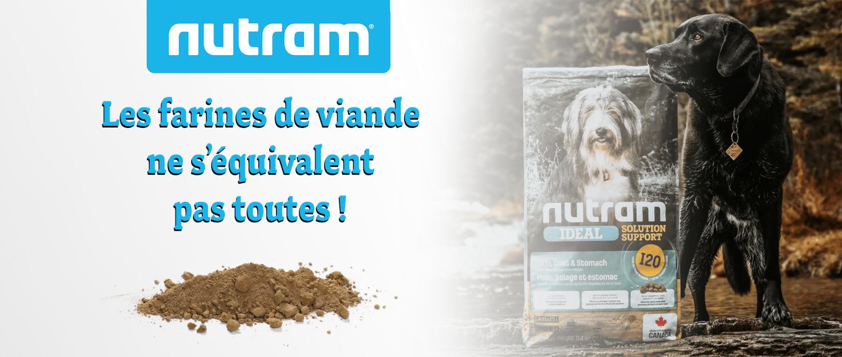 Toutes les farines de viande ne s'équivalent pas | AnimObouffe