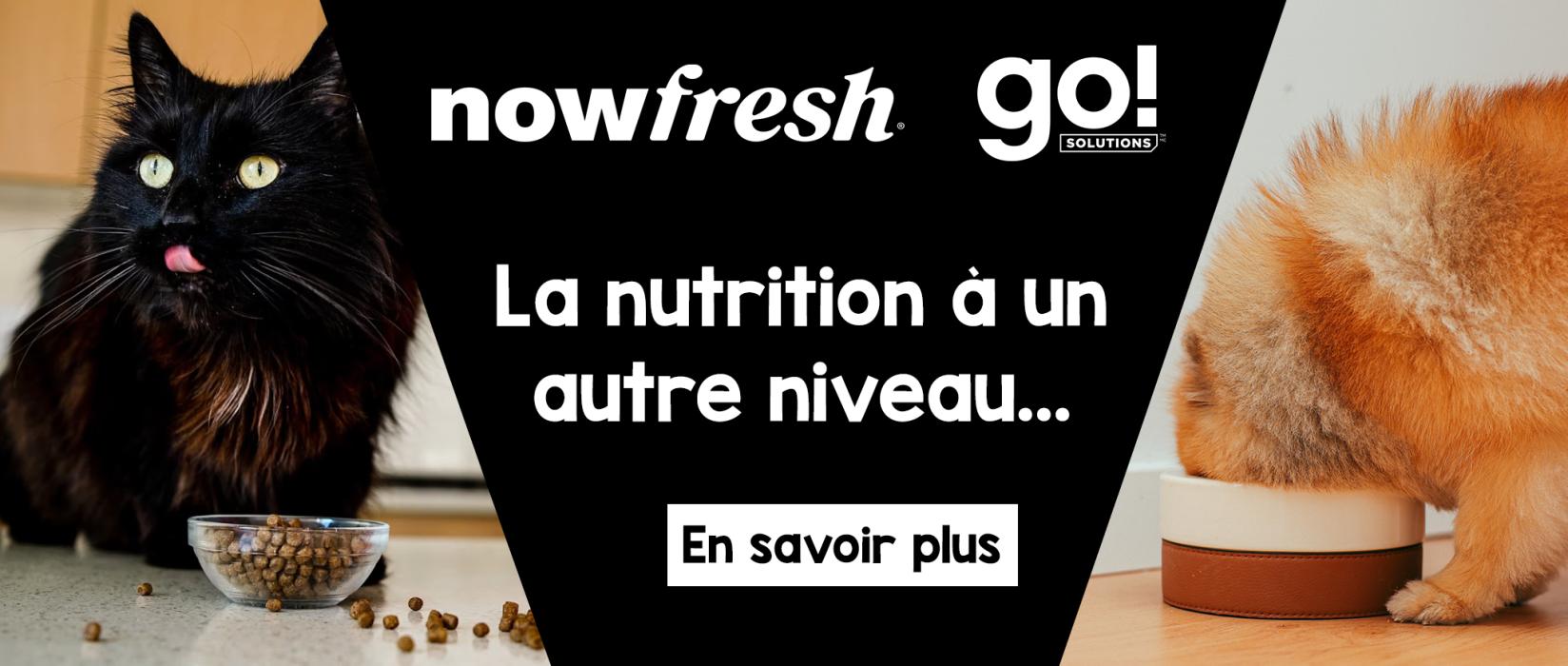 Go! Solutions et Now Fresh, des options santé | AnimObouffe
