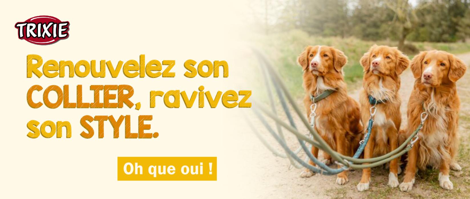 Renouveler son collier avec Trixie | AnimObouffe