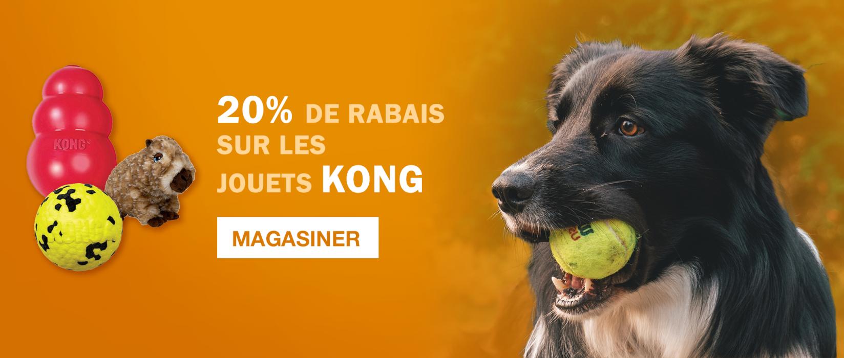 20% de rabais sur les produits Kong | AnimObouffe
