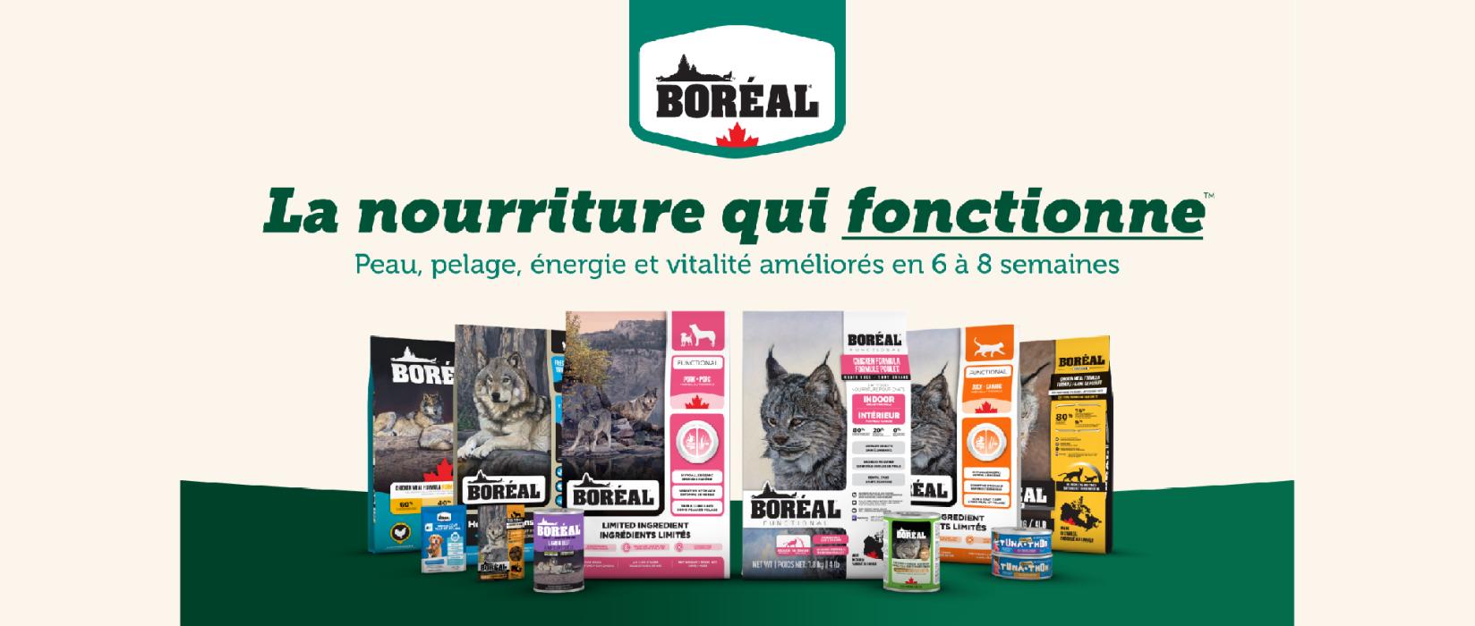 Boréal des résultats manquants | AnimObouffe