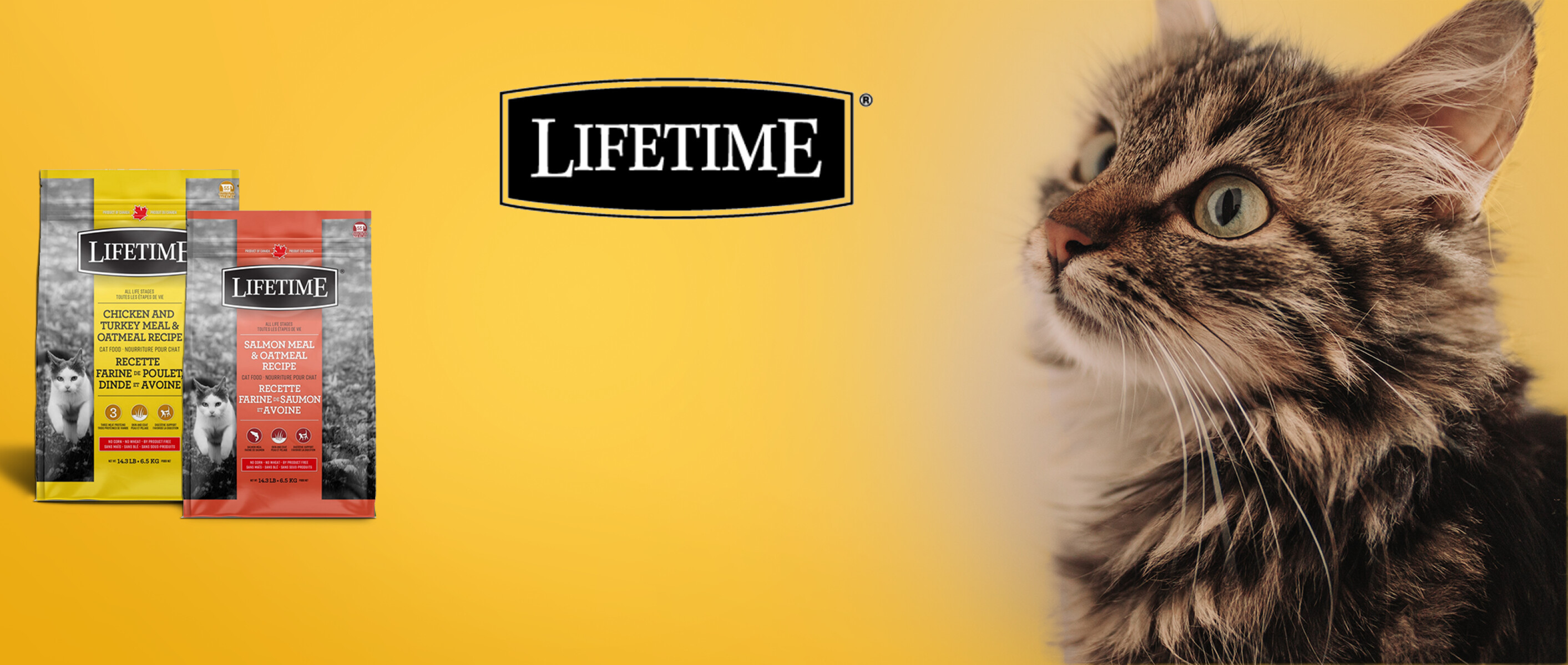 50% de rabais sur la nourriture Lifetime pour les chats | AnimObouffe