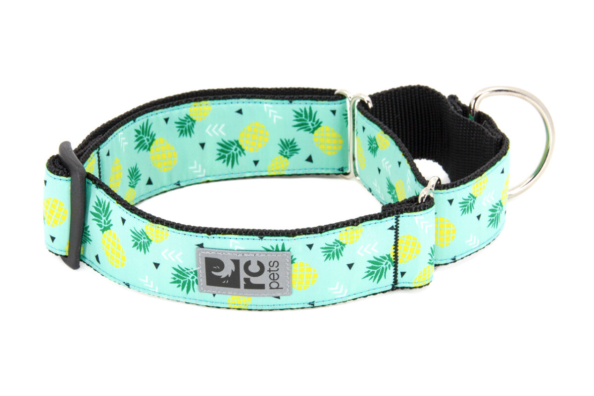 D89400 - Collier de dressage ajustable pour chiens avec motif d'ananas - Rc Pets