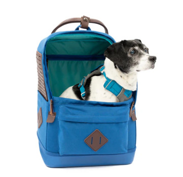 Sac à dos de transport Nomad bleu pour chiens - Kurgo