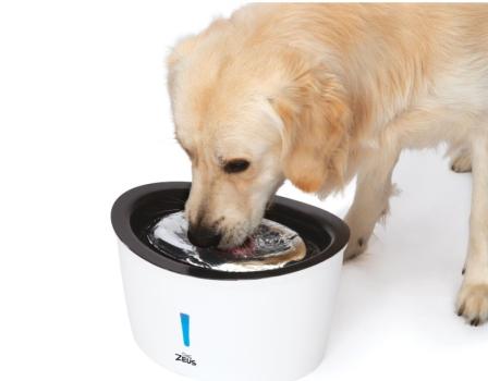 Abreuvoir Cascade avec dessus en acier inoxydable pour animaux 6 litres - Zeus