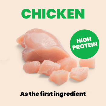 Conserve pour chats mousse au poulet et potiron - Almo Nature