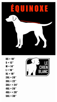 Manteau imperméable Équinoxe orange pour chiens - Le Chien Blanc