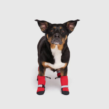 Bottes d'hiver rouge pour chiens - Canada Pooch