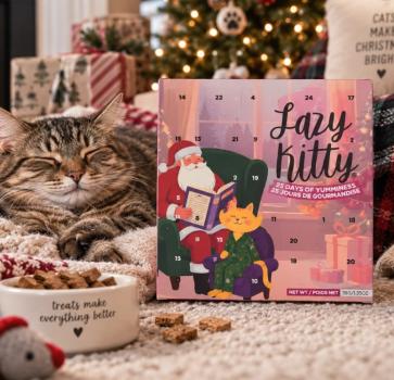Calendrier de l'avent pour chats - Lazy Kitty