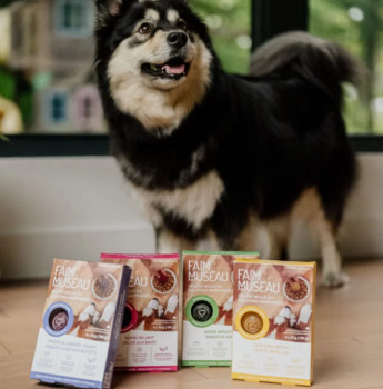 Collation nutritive smoothie vert pour chiens - Faim Museau