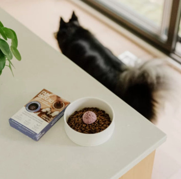 Collation nutritive au yogourt au bleuet pour chiens - Faim Museau