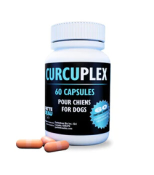 Supplément de Curcuplex en capsules pour chiens - Pattedeau Bio