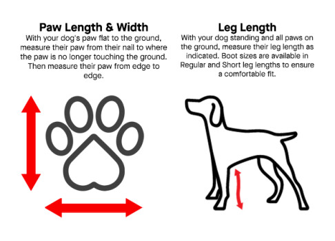 Bottes longues noires à bretelles pour chiens - Canada Pooch