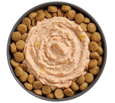 Sachet de pâté de poulet, saumon et canard pour chiens - Go! Booster Articulation