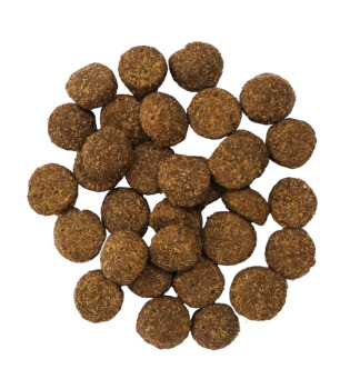 Nourriture au saumon et grains anciens pour chiens - Go!  Digestion + Gut Health