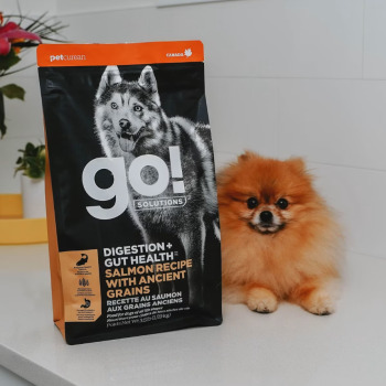 Nourriture au saumon et grains anciens pour chiens - Go!  Digestion + Gut Health