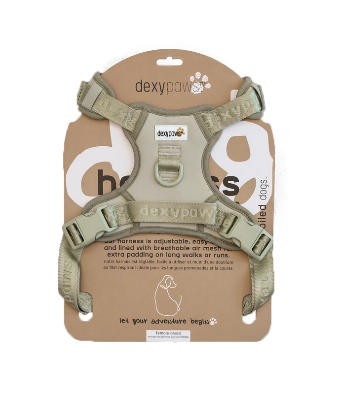 Ga00078 - Harnais sauge pour chiens - Dexypaws