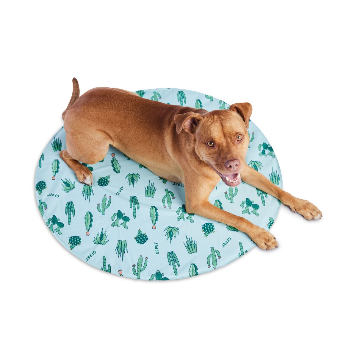 Rm86739 - Tapis rafraîchissant aqua à motif cactus ICE-MAT pour animaux - Go Fresh Pet