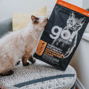 Nourriture au saumon et grains anciens pour chats - Go! Digestion + Gut Health