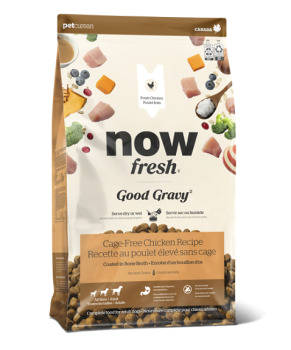 Nourriture pour chiens adultes au poulet avec grains anciens - Now Fresh