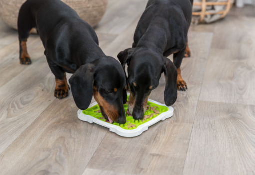 Tapis de léchage Lick'N Snack pour animaux - Trixie