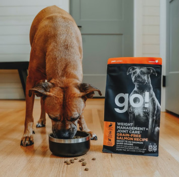 Nourriture pour chiens sans grains au saumon - Go! Weight Management Joint Care